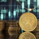 XRP Evernorth reduced