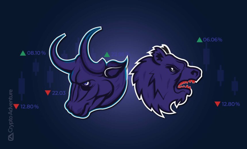 bull