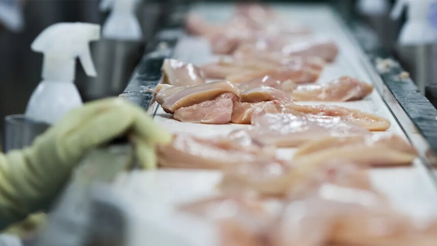 Hormel Foods Recalls Nearly 5 Million Pounds of Chicken Products Due to Metal Contamination 1 chicken factory