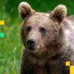 f740447a0604e010feb19f369e1bccfa7bec5ced 1920x1080