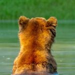 https3A2F2Fsubstack post media.s3.amazonaws.com2Fpublic2Fimages2Fa9664e79 73bd 4e68 baab f7566