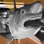 shark decrypt style gID 7