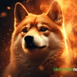 shiba inu shib burn 12.webp