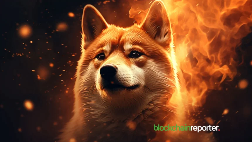 shiba inu shib burn 12.webp