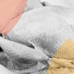 turkey decrypt style gID 7