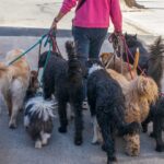 105249351 GettyImages 670072758