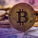 1764137237 image 1764136271216 optimized