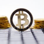 5d336adc 406d 4b6e b776 5e534020f0ca