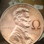 5d957ec0665f4dbd824fccbf42b69cb3 xl