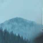 L53WJZk0RyyalkAVYt4N