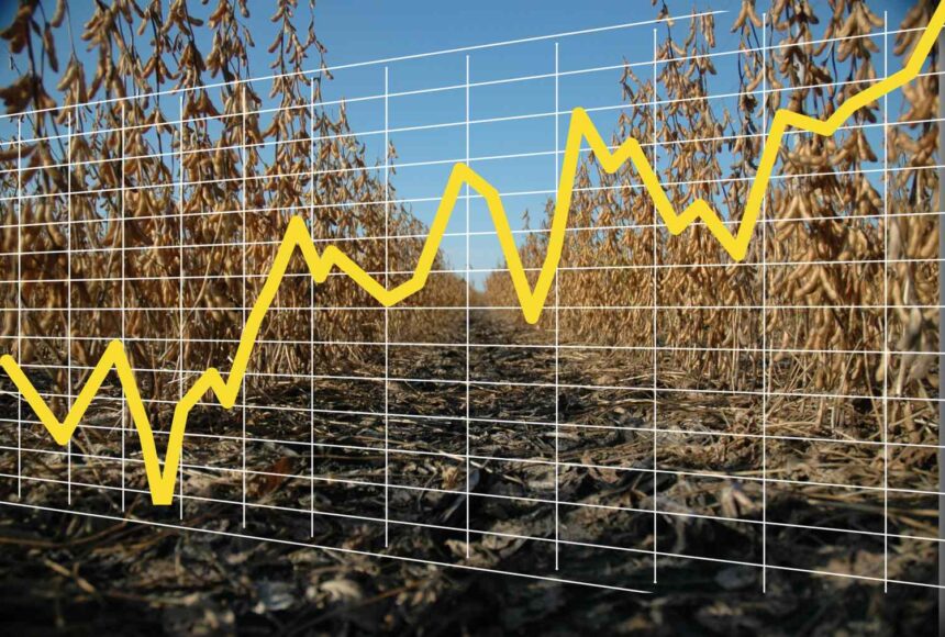Soybeans Surge as Market Reacts to Strong Close and China Trade Optimism 1 Markets 1 Soybeans field dramatic up 14 5283b95420d5449fbb4c6ffaa3fa212f