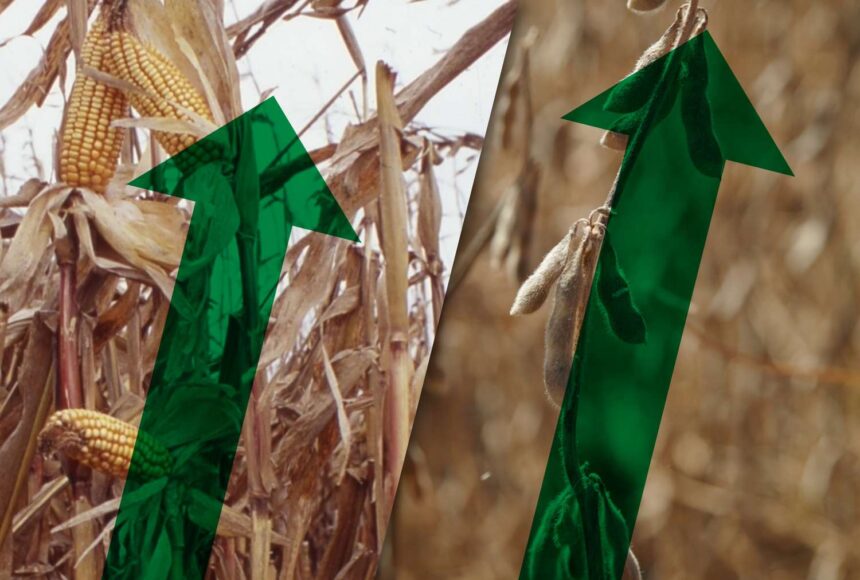 Grain and Livestock Markets See Mixed Results Amid Profit Taking and Weather Concerns 1 Markets 10 Corn up soybeans up 9 33d27aa11feb4f6d95e5891a33cd4644