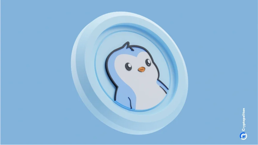 Pudgy Penguins refutes OpenSea acquisition rumors.webp