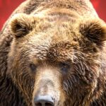 UDLWWTEHHZBN5JBZNBMIFGEGPI