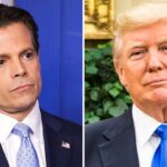 donal trump scaramucci