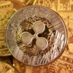 https3A2F2Fd1e00ek4ebabms.cloudfront.net2Fproduction2F07e15139 94c1 4dfb a29e 75c369b36c6d