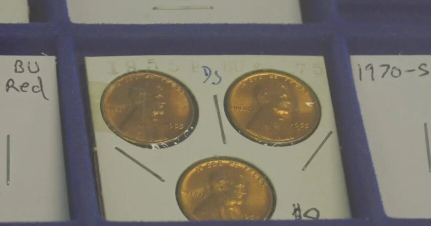 U.S. Stops Production of Pennies After 232 Years, Sparking Interest in Coin Collecting 1 snapshot 17