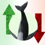 whale ditches short for long.webp