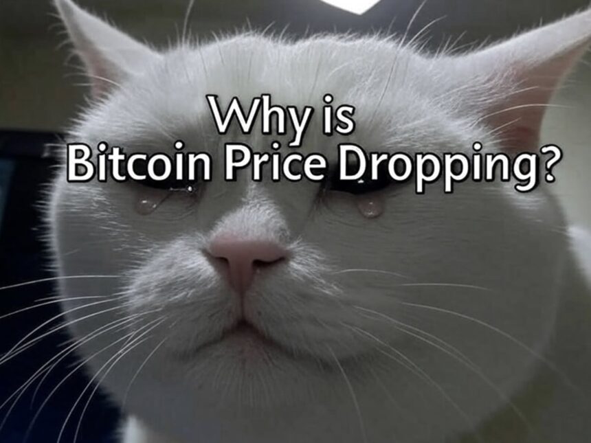 why is bitcoin price dropping altcoin bear market