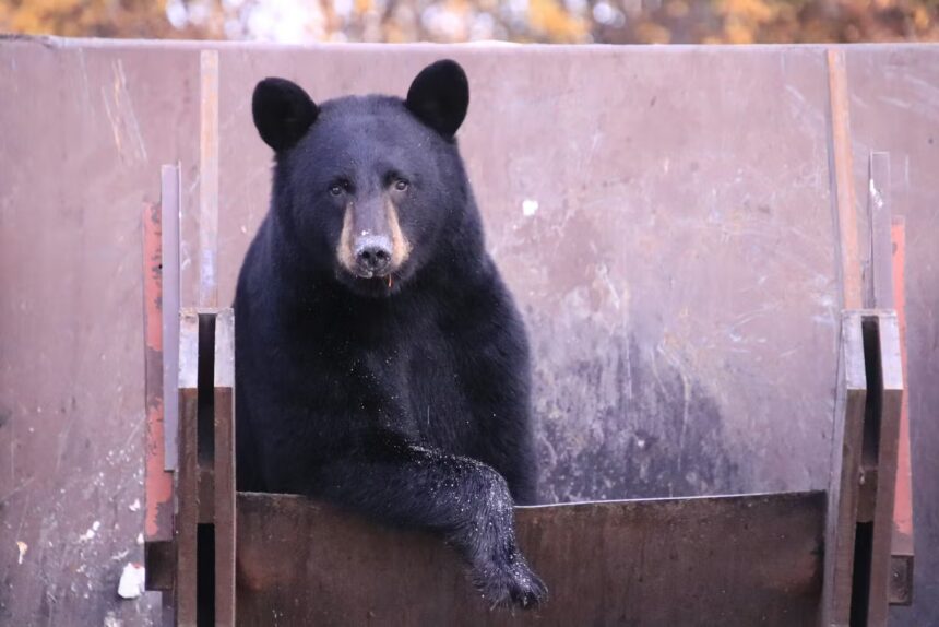 Oracle Denies Delay in Data Center Construction for OpenAI 1 1298016258 the lunchbox