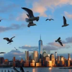 6945511464858d02d2171ff1