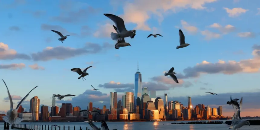 Economist Steve Hanke Warns of Inflation and Stock Market Bubbles Causing Sleepless Nights 1 6945511464858d02d2171ff1