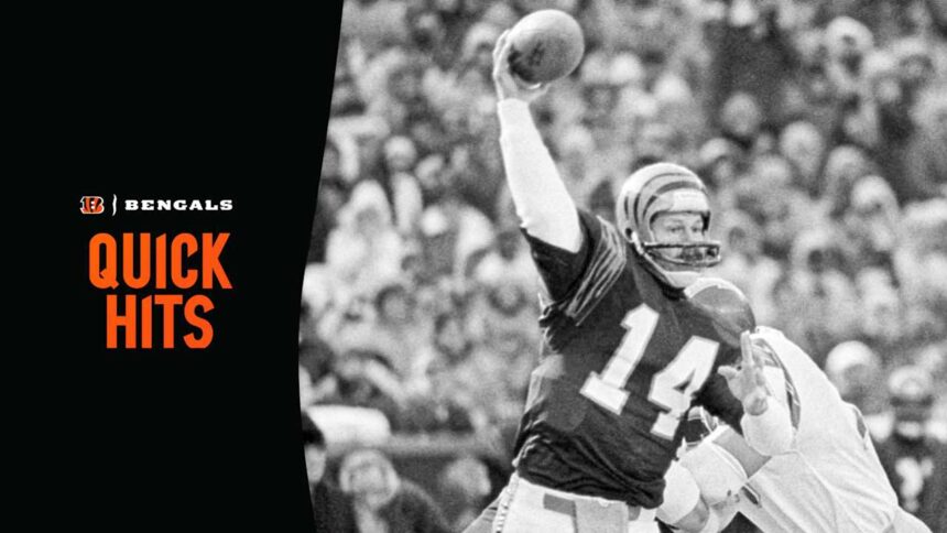 Bengals Prepare for Coldest Home Game with Modern Heating Technology