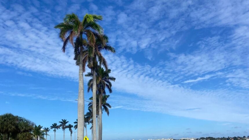 Calm Weekend Weather with Fog Advisory and Upcoming Rain Changes 1 Calm Weekend Weather with Fog Advisory and Upcoming Rain Changes