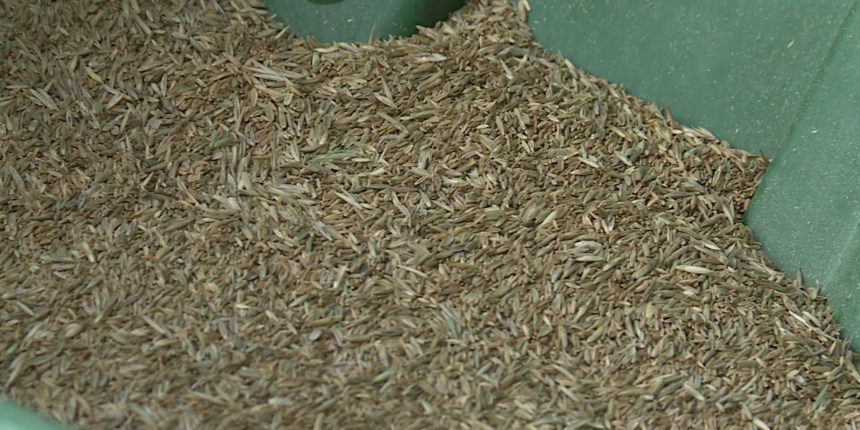 Farmer in North Dakota Fined $60,000 for Violating Seed Laws