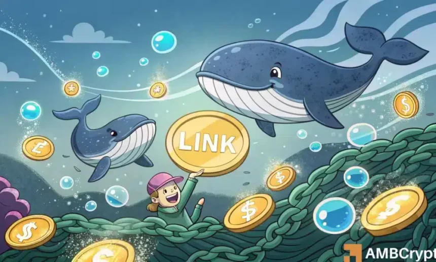 Gladys 45 1000x600.webp