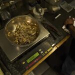 GoldAP25128695705720 e1766420989553