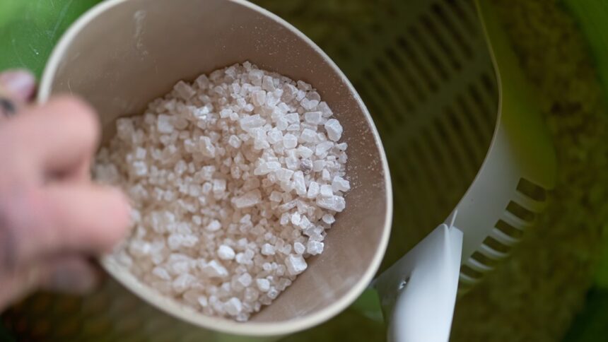 MPCA Urges Minnesotans to Use Salt Sparingly for Safe Walkways and Environmental Protection