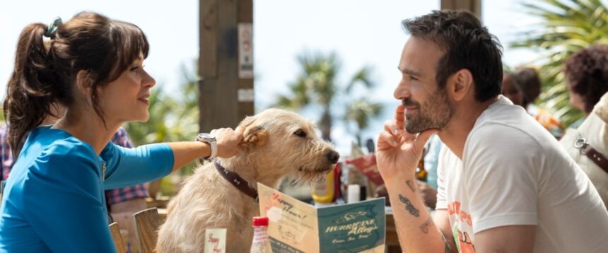 Merv: A Disappointing Take on Dog Custody Drama