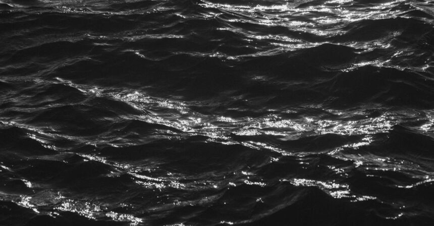 Misguided Notions of Heroism: Lessons from Stanley to Trump on the Costs of Brutality