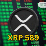 TCB 001 2024 12 06T092200648