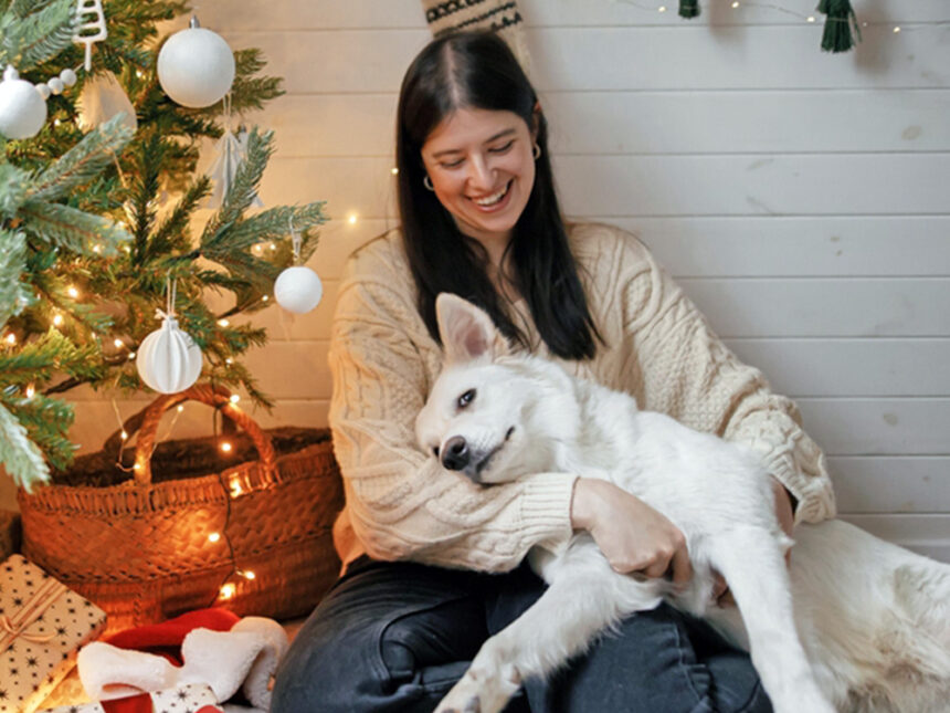 The most and least stressful Christmas songs for dogs revealed