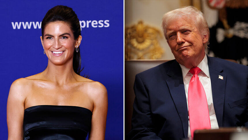 Trump Attacks CNN's Kaitlan Collins, She Responds with a Sharp Retort