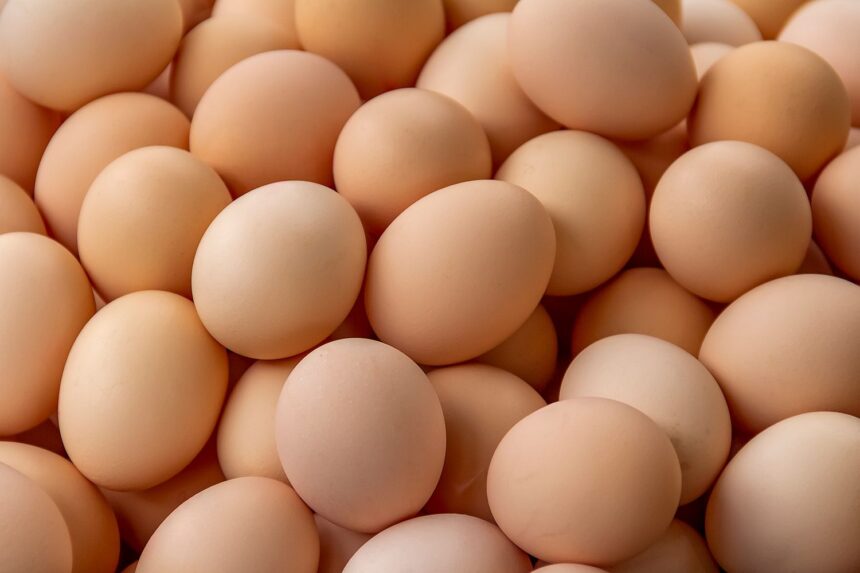 Veg Farms recalls over 1,500 eggs in Sacramento and Davis due to Salmonella risk