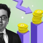 Who Is Tom Lee 1536x864 1.webp