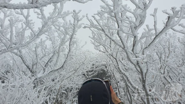 전북 무주, 향적봉에서 설경 촬영하는 시민들