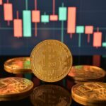 078bff015228515fa458cb5b085e25fb