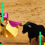 1769889259 f10e542f18b49a78eaae1f623901243eea426870 1918x1080