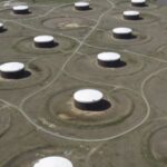 2026 01 29 bcktoez1qz