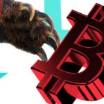 3VZ3Q6SLONEKTME4UX4QJPJ4HM