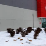 69739e81e1ba468a96aa97fb