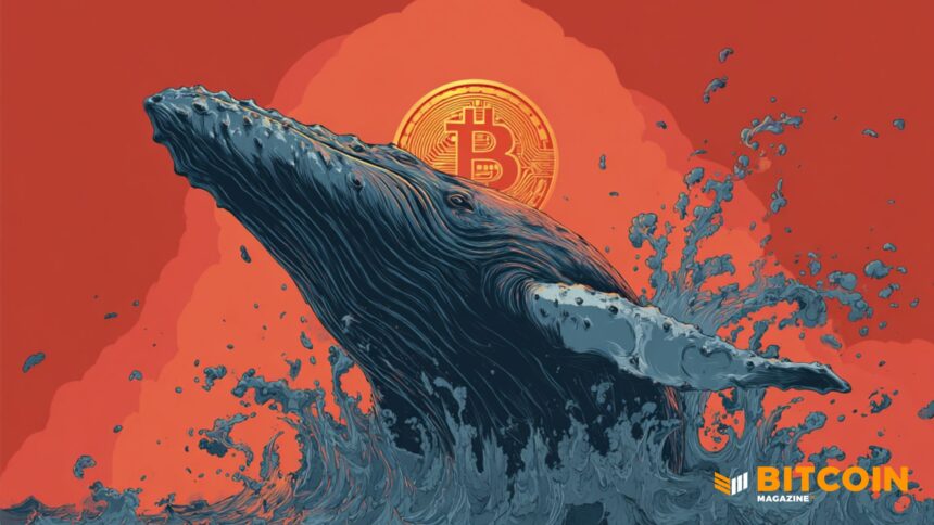 Bitcoin Whales Keep Buying as 100 BTC Addresses Set New Record