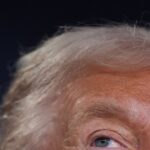 fa266cda e7e8 5aa0 bd9b 1a2f6b963183