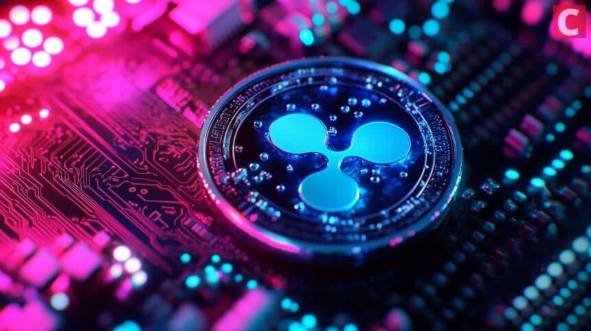 image 1769543748498 optimized