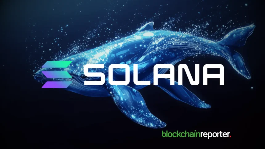 solana 3 1 2.webp