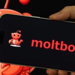 108260139 1770042753129 gettyimages 2259341231 img 7683